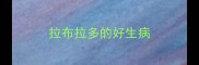 拉布拉多的好生病