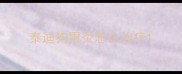 泰迪狗胃炎怎么治疗