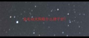 金毛幼犬狗粮什么牌子好