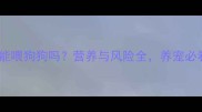 鸡肠能喂狗狗吗营养与风险全养宠必看