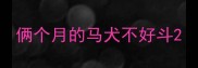俩个月的马犬不好斗