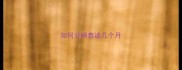 如何分辨泰迪几个月