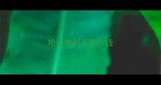 哈士奇剃毛多少钱