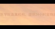 南昌高端宠物医院推荐农大兽医学院直属机构提供24小时宠物急诊与专科诊疗服务附地址
