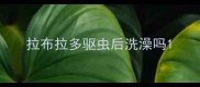 拉布拉多驱虫后洗澡吗