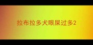 拉布拉多犬眼屎过多