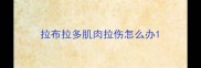 拉布拉多肌肉拉伤怎么办