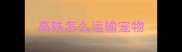 高铁怎么运输宠物
