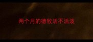 两个月的德牧活不活泼