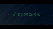 法斗打完疫苗后的反应