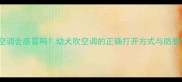 小狗吹空调会感冒吗幼犬吹空调的正确打开方式与防感冒指南