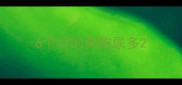 6个月的狗狗尿多