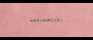 金毛脱毛厉害吃点什么