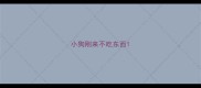 小狗刚来不吃东西
