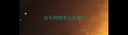 金毛狗狗怎么趴着