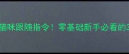 快速教会猫咪跟随指令零基础新手必看的3步训练法