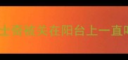哈士奇被关在阳台上一直叫