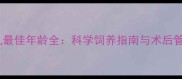 金毛结扎最佳年龄全科学饲养指南与术后管理要点