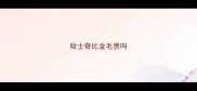哈士奇比金毛贵吗