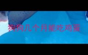 狗狗几个月能吃鸡蛋
