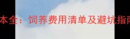 养拉布拉多犬成本全饲养费用清单及避坑指南附预算表