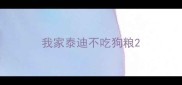 我家泰迪不吃狗粮