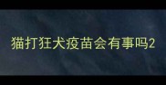 猫打狂犬疫苗会有事吗