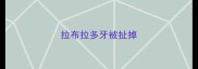 拉布拉多牙被扯掉
