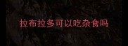 拉布拉多可以吃杂食吗