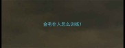 金毛扑人怎么训练