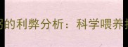 狗狗长期喝小米粥的利弊分析科学喂养指南与营养师建议