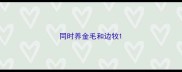 同时养金毛和边牧