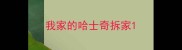 我家的哈士奇拆家