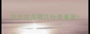 狂犬疫苗哪几针最重要
