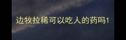 边牧拉稀可以吃人的药吗