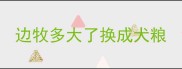 边牧多大了换成犬粮