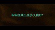 狗狗血线出血多久能好