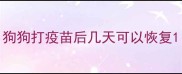 狗狗打疫苗后几天可以恢复