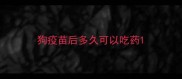 狗疫苗后多久可以吃药