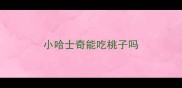 小哈士奇能吃桃子吗