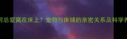 狗狗为何总爱窝在床上宠物与床铺的亲密关系及科学养护指南