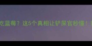 狗狗能不能吃蓝莓这5个真相让铲屎官秒懂附安全食谱