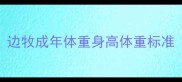边牧成年体重身高体重标准