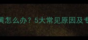 狗狗眼屎发黄怎么办5大常见原因及专业护理指南