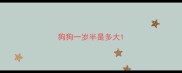 狗狗一岁半是多大