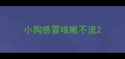 小狗感冒咳嗽不流