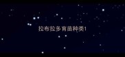 拉布拉多育苗种类