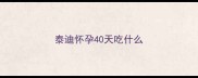 泰迪怀孕40天吃什么