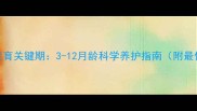 德牧犬骨骼发育关键期3-12月龄科学养护指南附最佳补钙方案