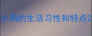 小狗的生活习性和特点